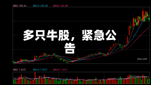 多只牛股，紧急公告-第3张图片