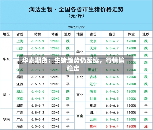 华泰期货：生猪趋势仍延续，行情偏稳定-第3张图片