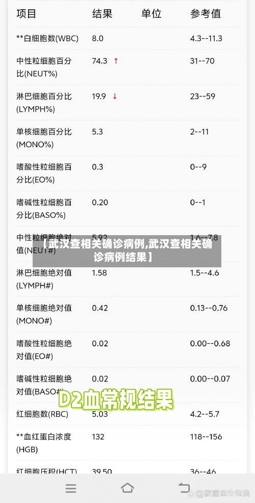 【武汉查相关确诊病例,武汉查相关确诊病例结果】-第3张图片