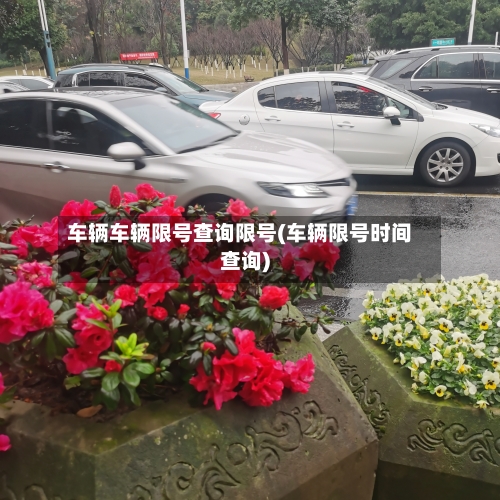 车辆车辆限号查询限号(车辆限号时间查询)