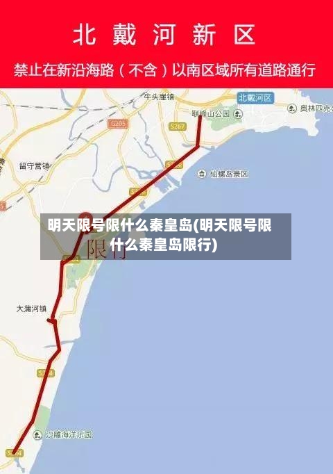 明天限号限什么秦皇岛(明天限号限什么秦皇岛限行)-第2张图片